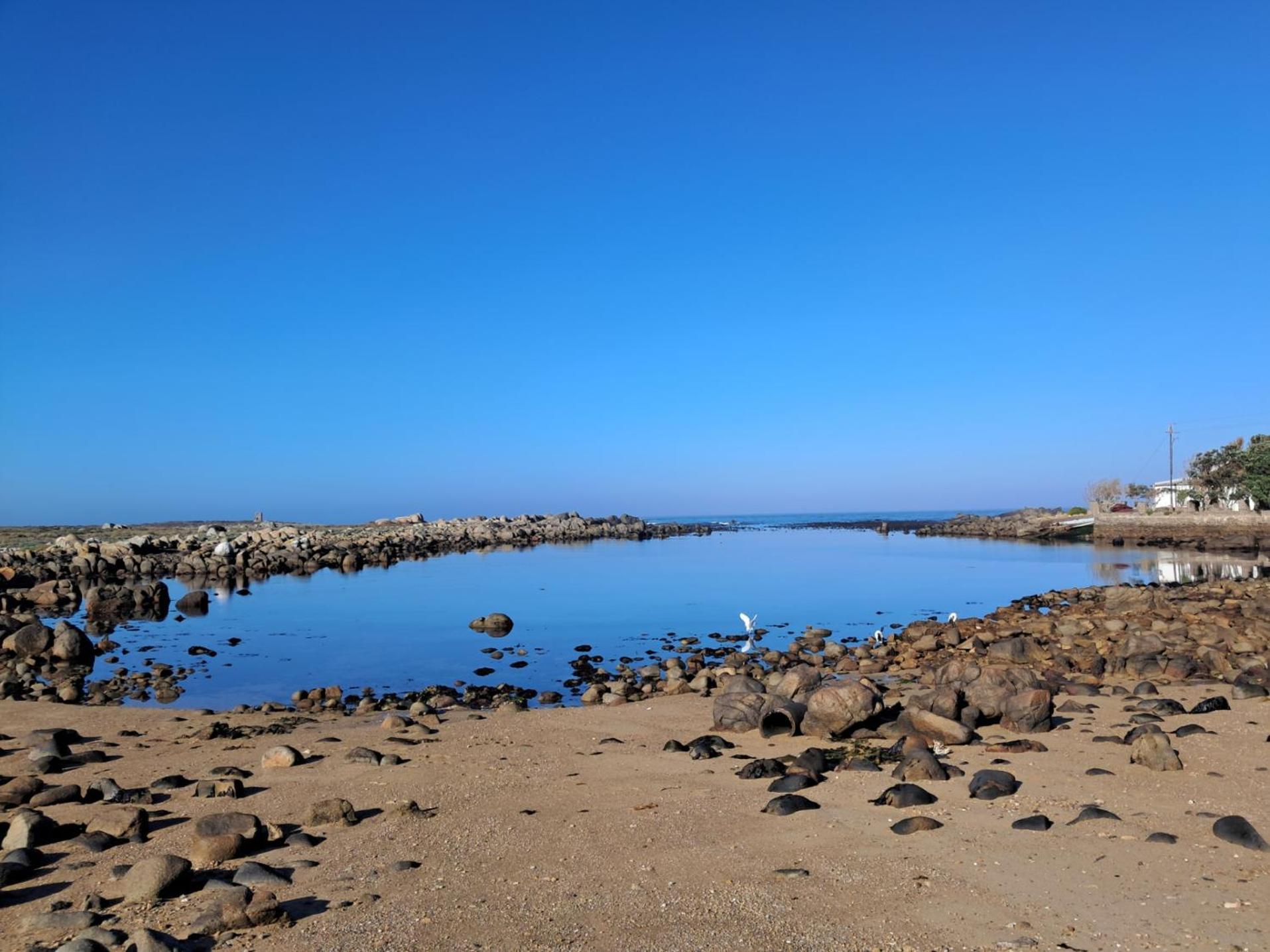 Abalone Guesthouse خليج جاكوبس المظهر الخارجي الصورة